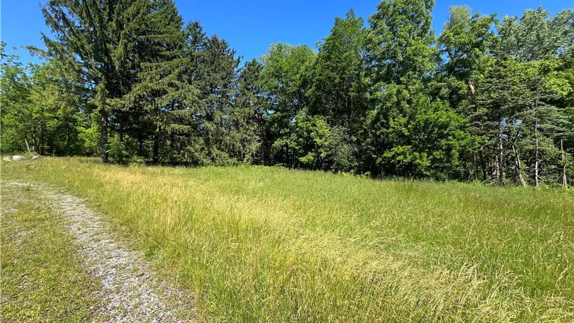 Property at 4880 Ransom Road, Clarence, NY 14301 19