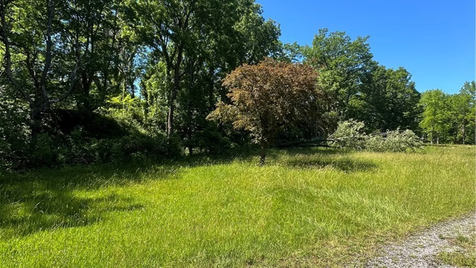 Property at 4880 Ransom Road, Clarence, NY 14301 26