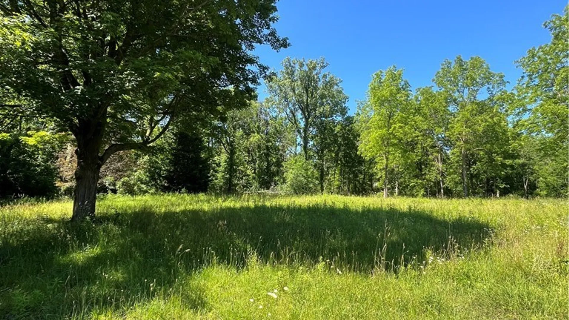 Property at 4880 Ransom Road, Clarence, NY 14301 27