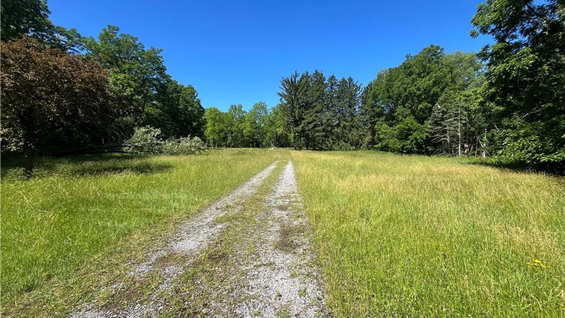 Property at 4880 Ransom Road, Clarence, NY 14301 30