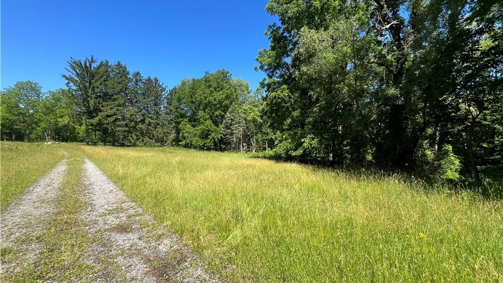 Property at 4880 Ransom Road, Clarence, NY 14301 33