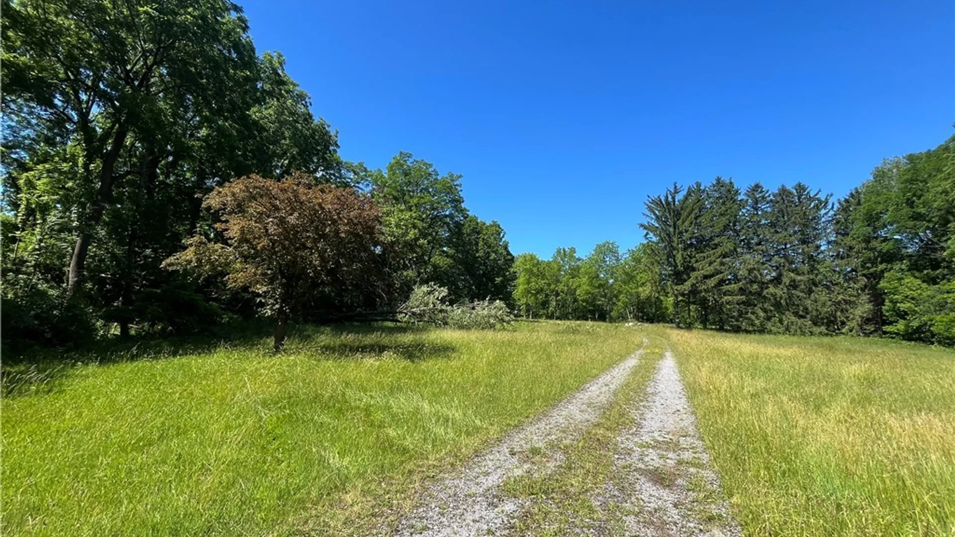 Property at 4880 Ransom Road, Clarence, NY 14301 36