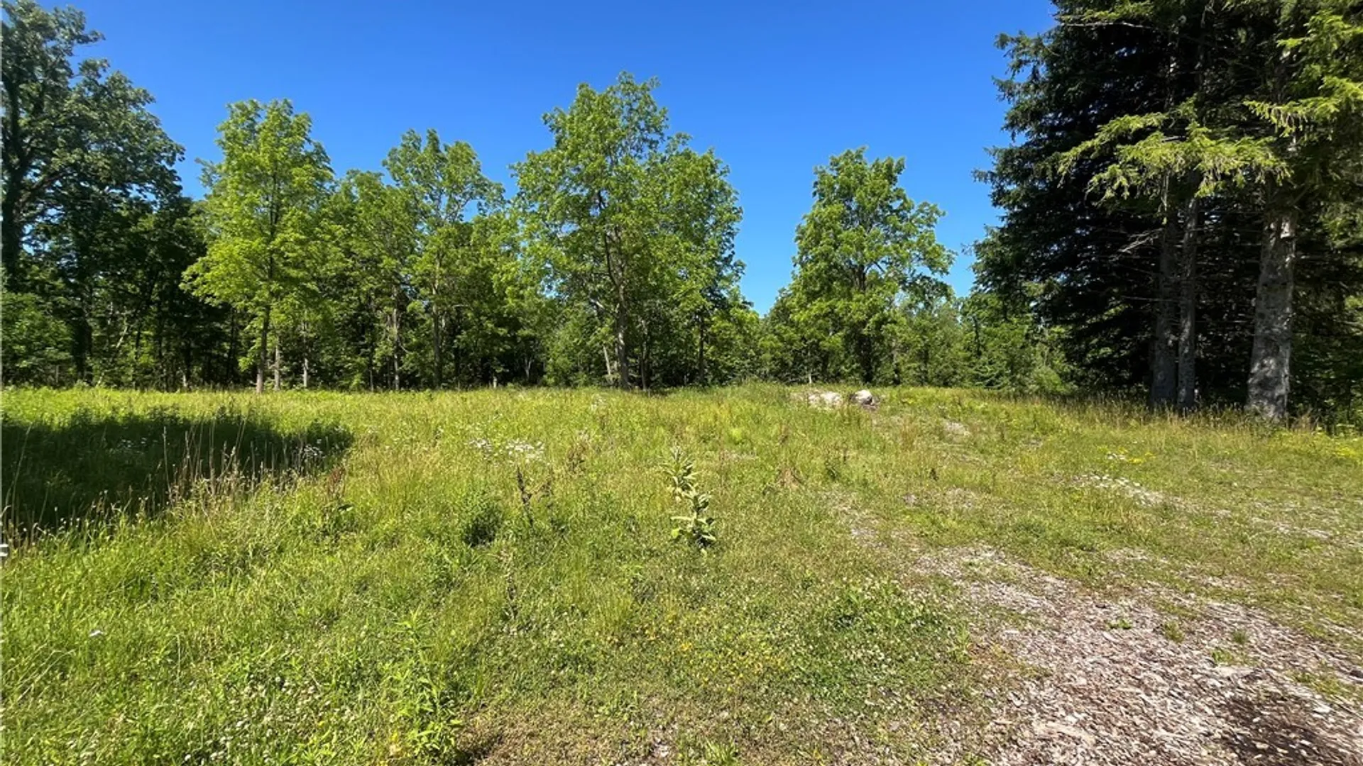 Property at 4880 Ransom Road, Clarence, NY 14301 38