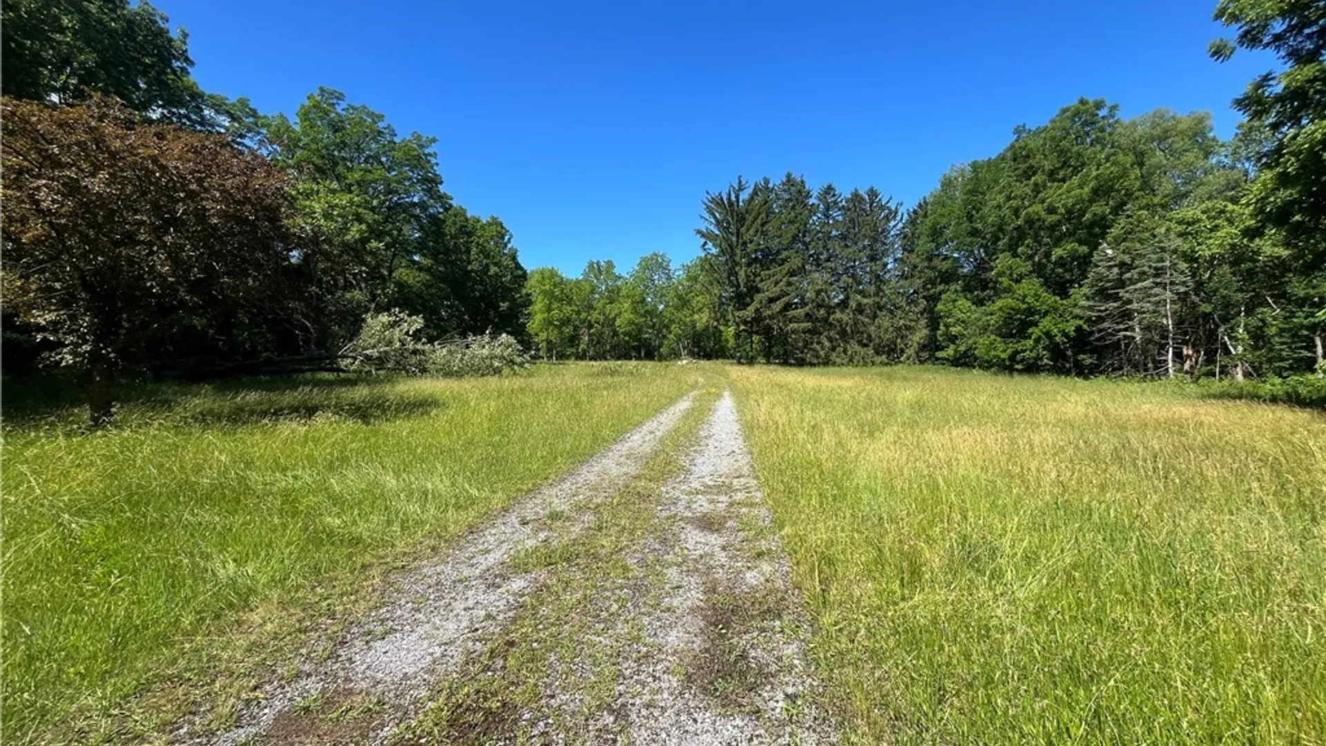 Property at 4880 Ransom Road, Clarence, NY 14301 23