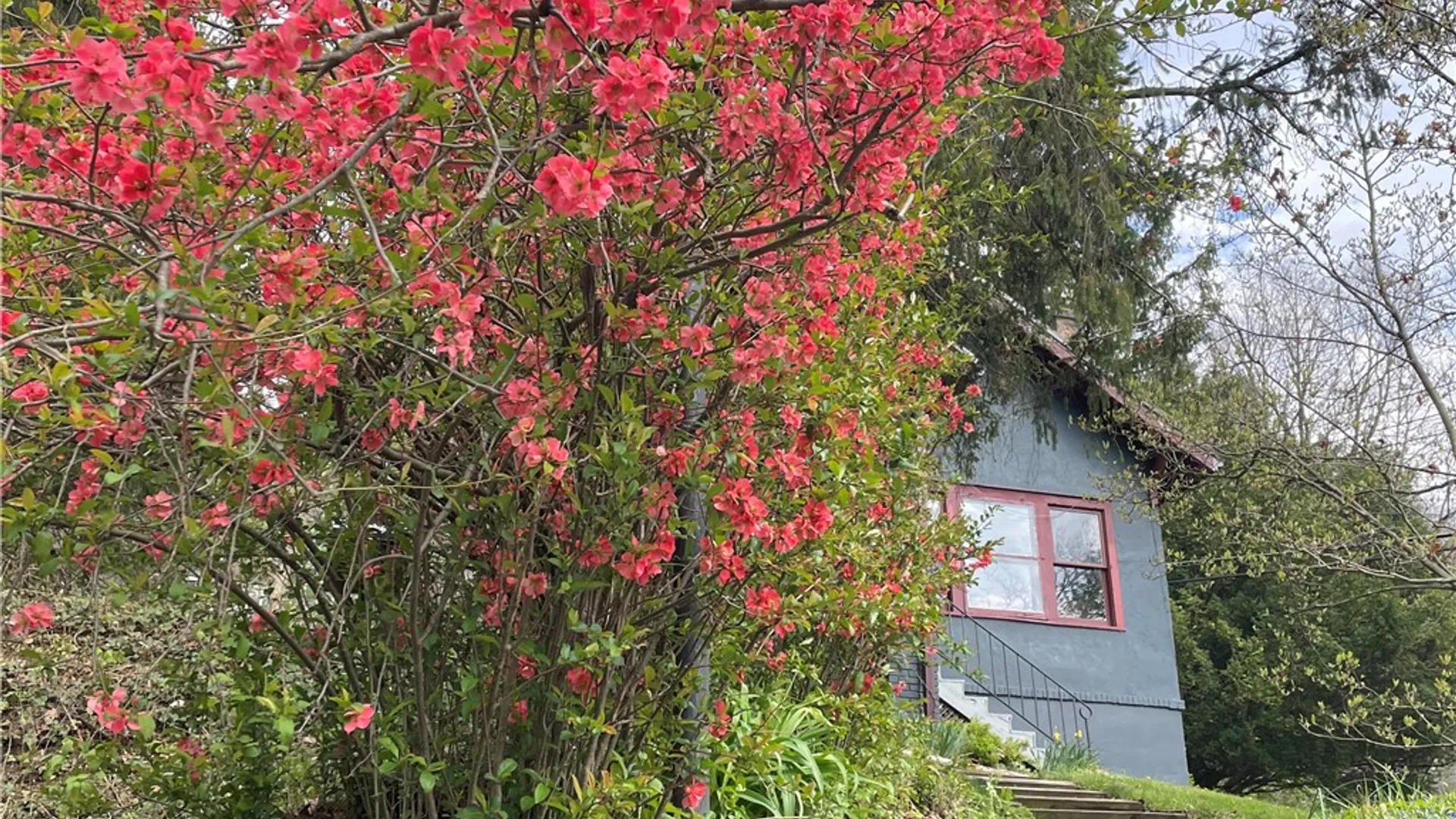 Property at 11 Renwick Heights Road, Ithaca Town, NY 14850 49