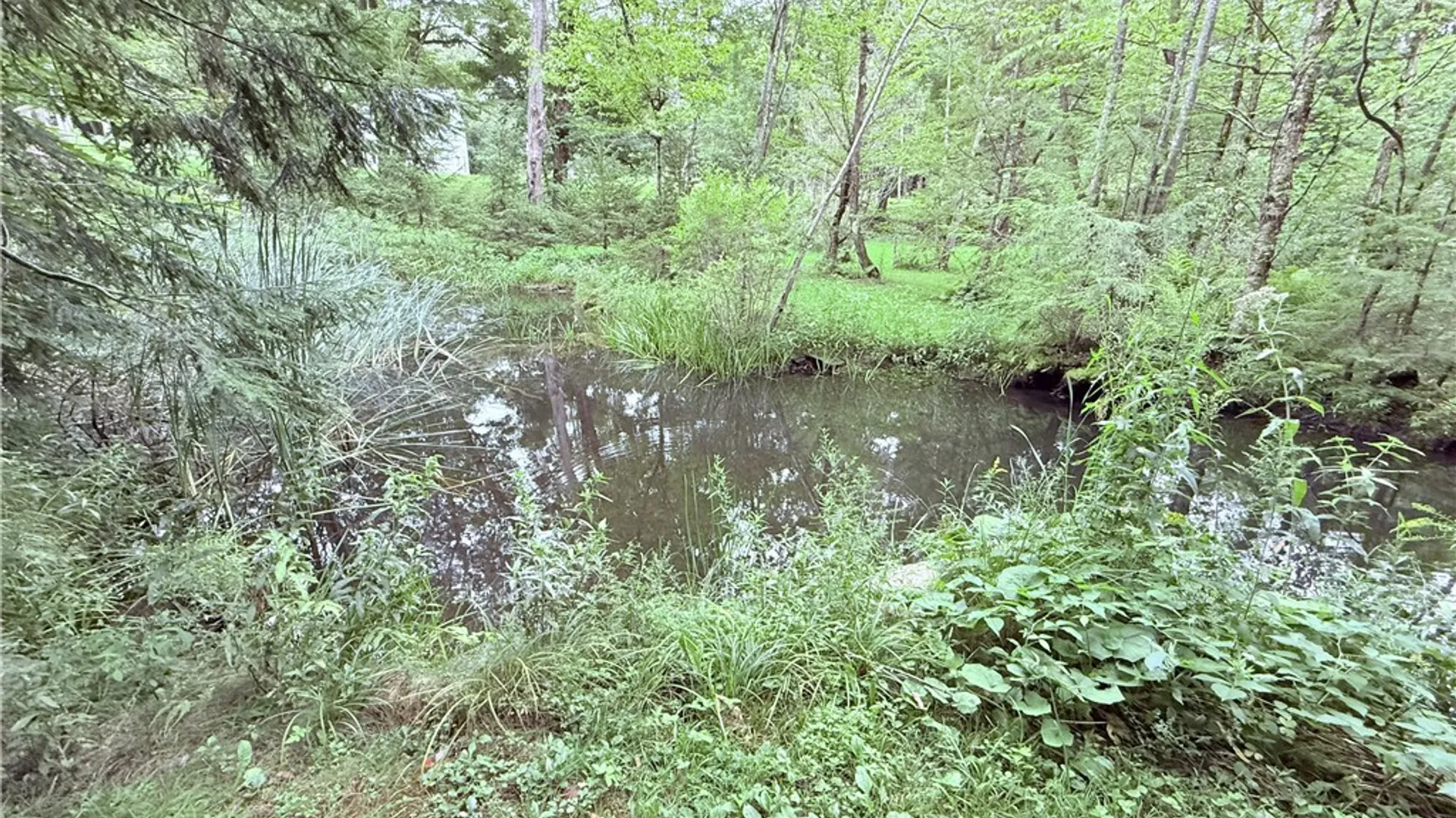 Property at 184 County Route 13, Boylston, NY 13083 8