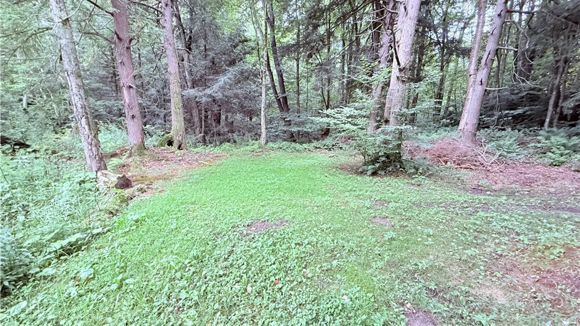 Property at 184 County Route 13, Boylston, NY 13083 9