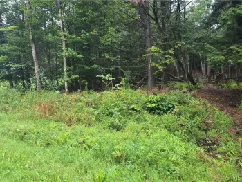 Property at Burton Road, Camden, NY 13316