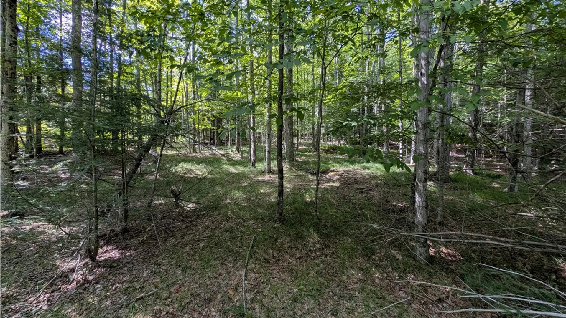Property at 352 Tower Mountain Road, Jewett, NY 12444 20