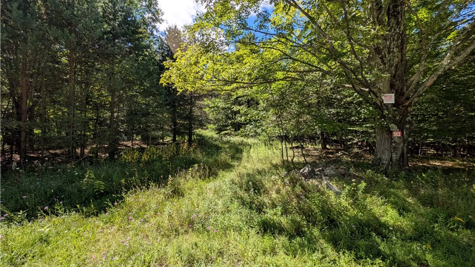 Property at 352 Tower Mountain Road, Jewett, NY 12444 7