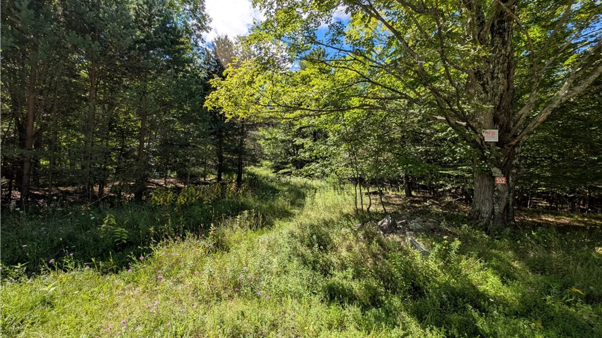 Property at 352 Tower Mountain Road, Jewett, NY 12444 10