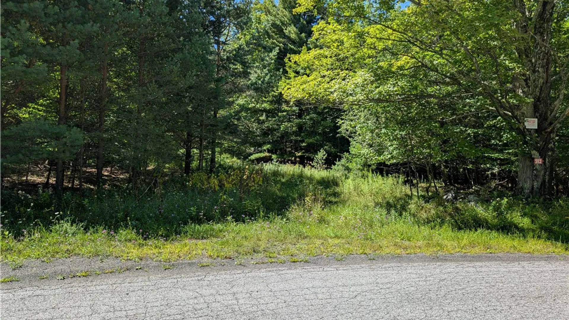 Property at 352 Tower Mountain Road, Jewett, NY 12444 16
