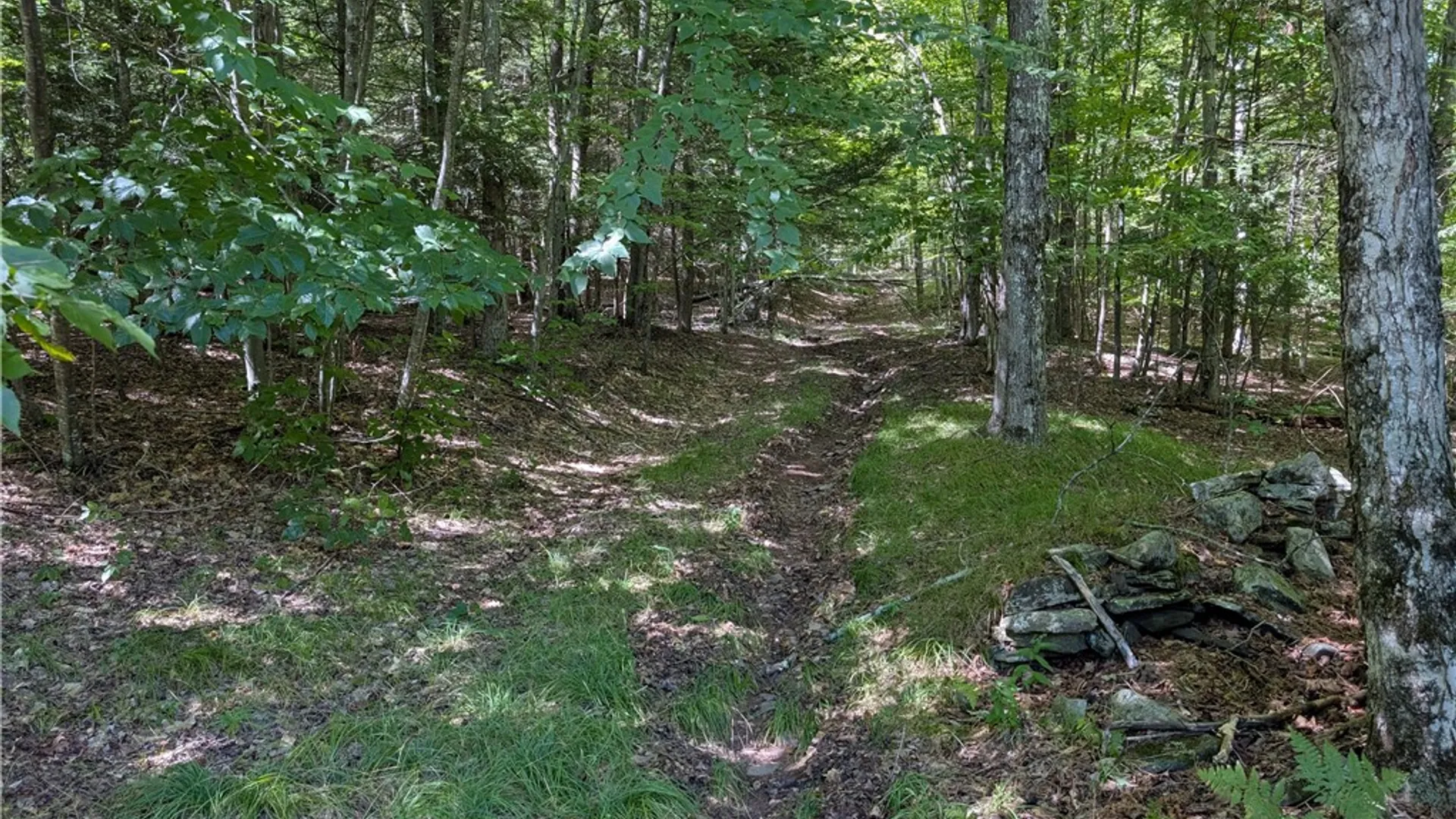 Property at 352 Tower Mountain Road, Jewett, NY 12444 17
