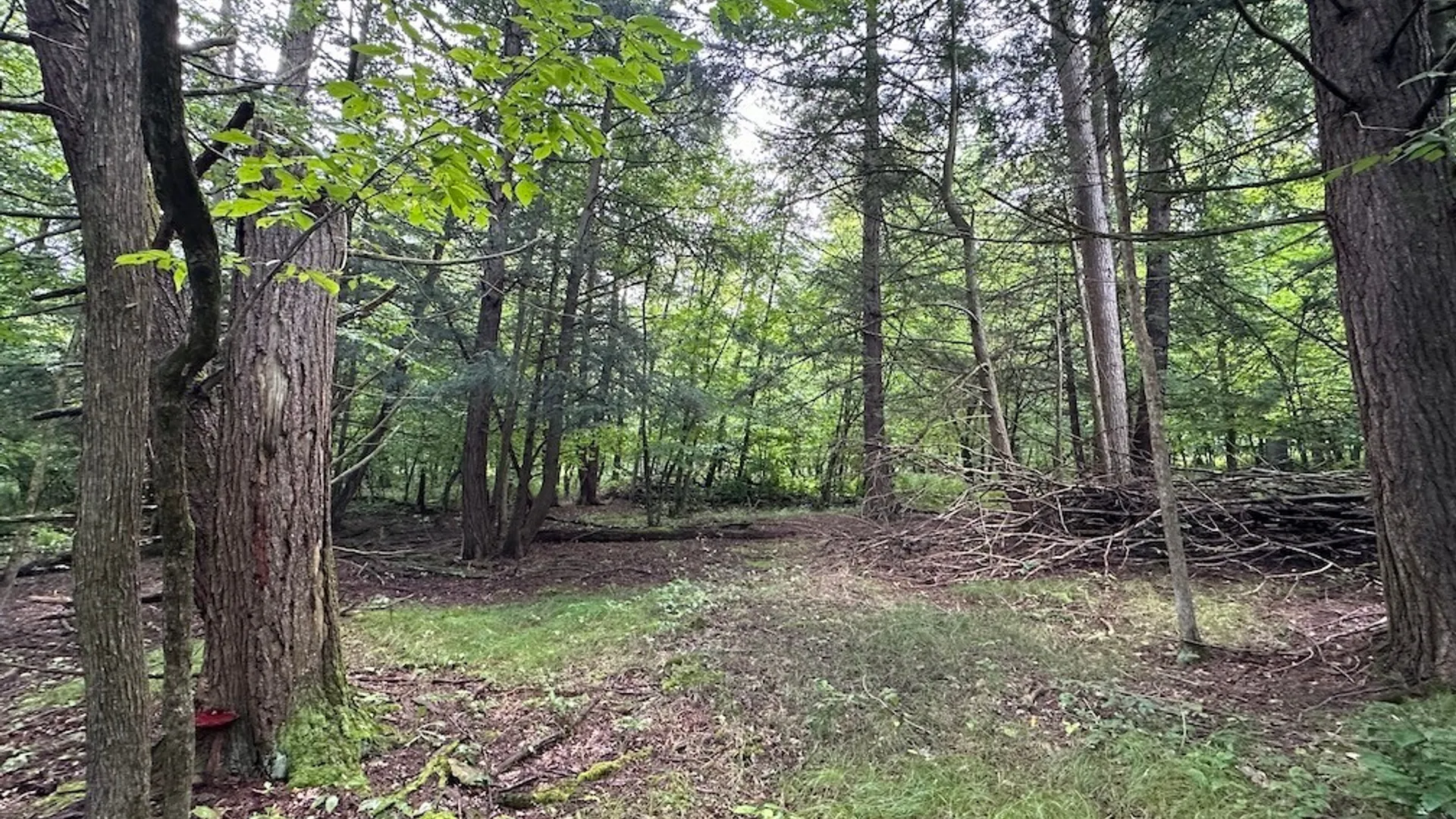 Property at 5416 Saunders Hill Road, Amity, NY 14813 6