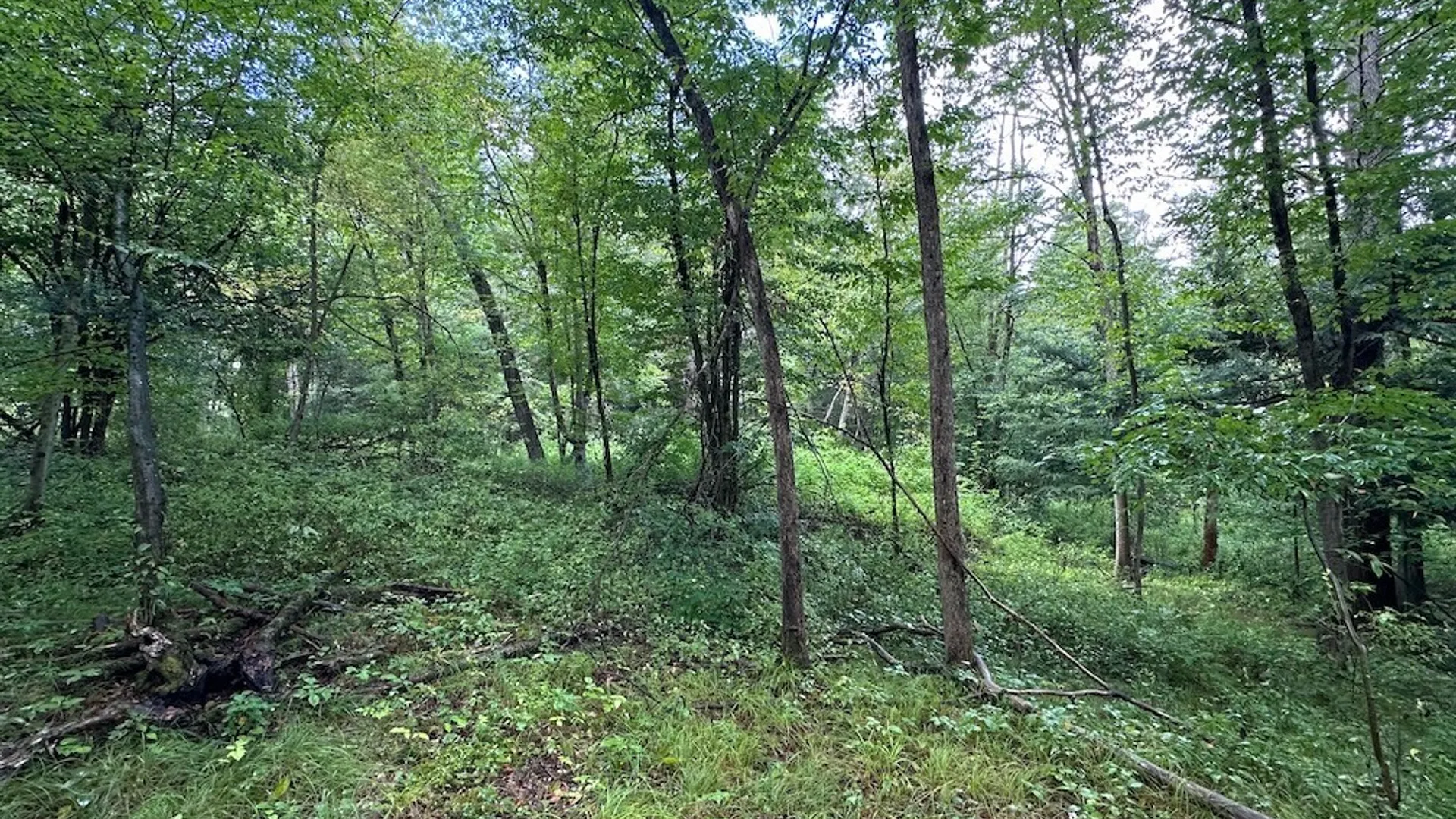 Property at 5416 Saunders Hill Road, Amity, NY 14813 8