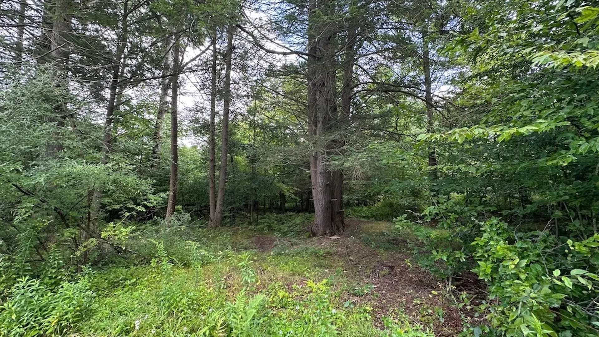 Property at 5416 Saunders Hill Road, Amity, NY 14813 4