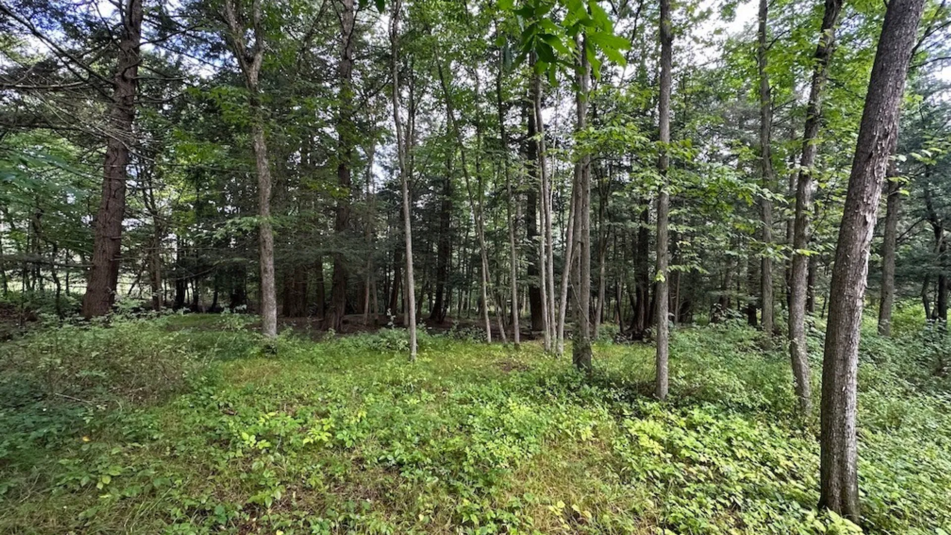 Property at 5416 Saunders Hill Road, Amity, NY 14813 5