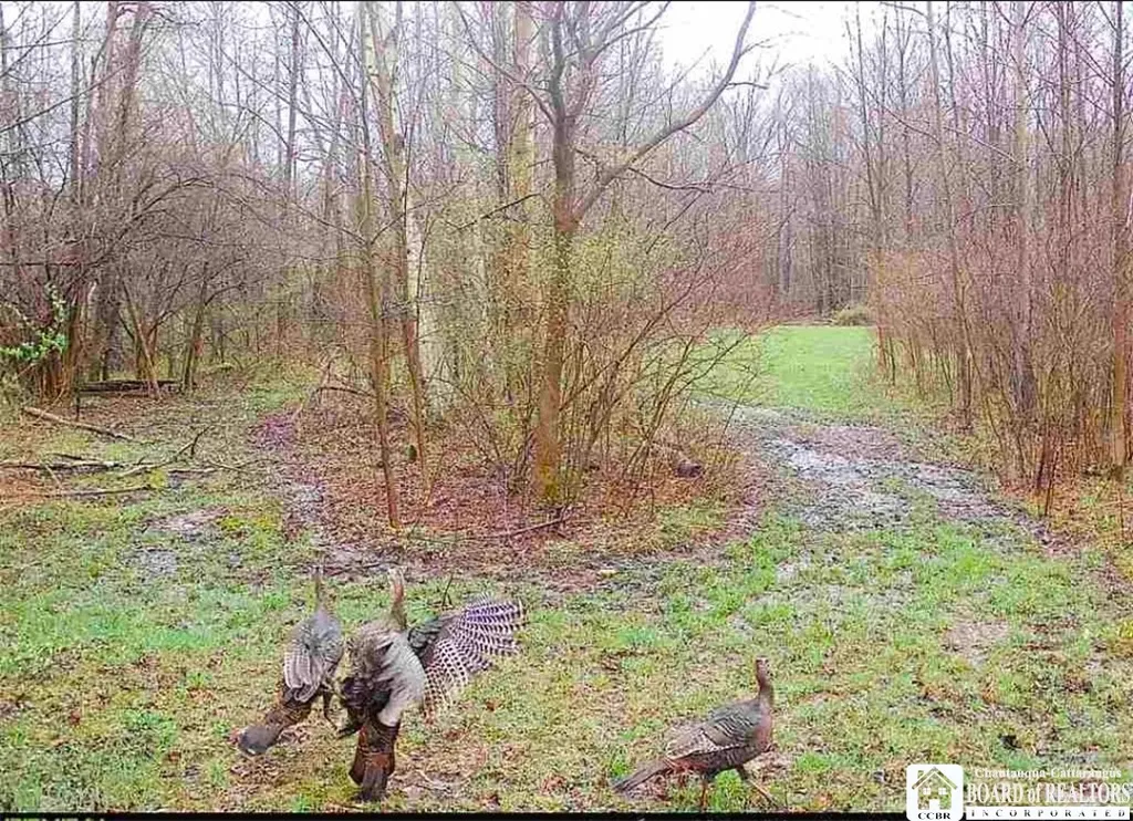 Property at Route 430, Mina, NY 14736