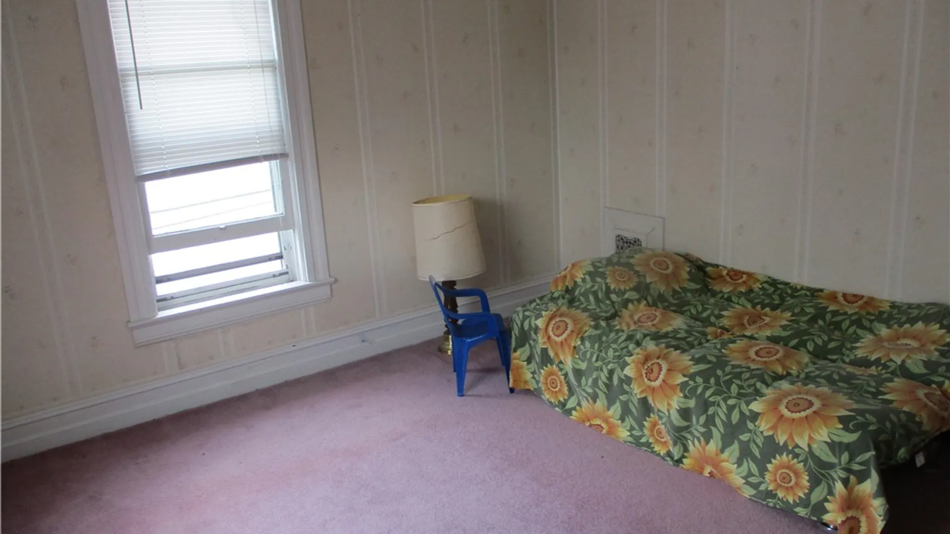 Property at 226 Crete Avenue, Elmira City, NY 14901 16