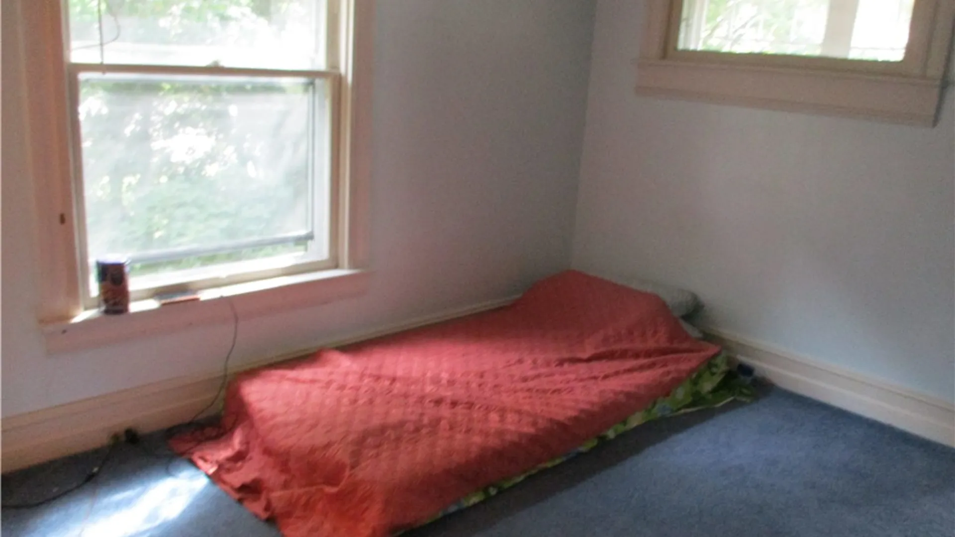 Property at 226 Crete Avenue, Elmira City, NY 14901 13