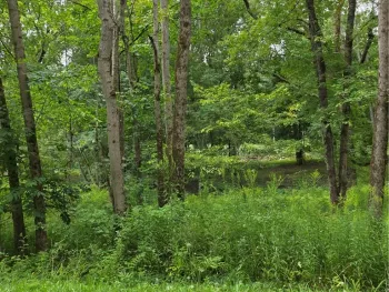 Property at Duffytown Road, Eldred, PA 16731
