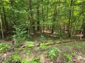 Property at Lot #1 George Hill Road, Watson, NY 13343