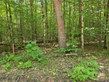 Property at Lot #2 George Hill Road, Watson, NY 13343