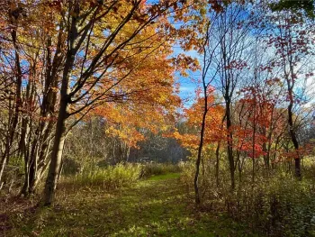 Property at Nys Route 98, Franklinville, NY 14737