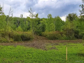 Property at 9970 Tonawanda Crk Rd N, Clarence, NY 14031