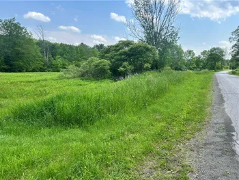 Property at 00 Oregon Road, Butternuts, NY 13776