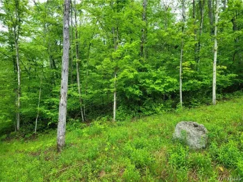 Property at 0 Co Road 24- Lot 1, Grove, NY 14884