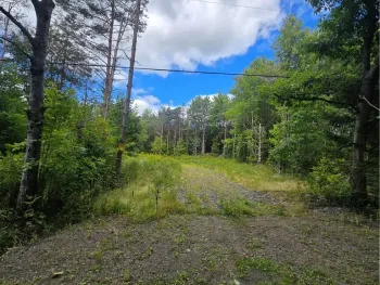 Property at 213 Geiss Road, Greene, NY 13787
