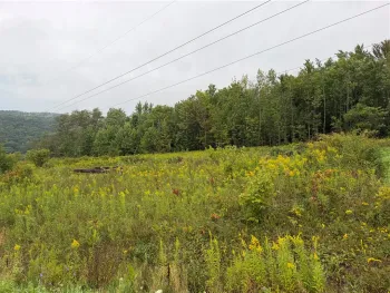 Property at Adams Road, Harford, NY 13784