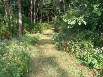 Property at 0 Stone Quarry Road, Ithaca Town, NY 14850
