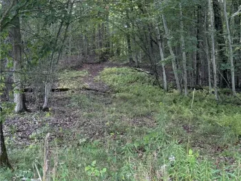 Property at Rt. 346, Otto Twp, PA 16744
