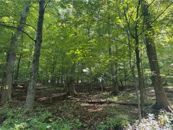 Property at 4 Nob Road, Utica, NY 13501