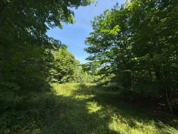 Property at V/L Syler Road, Orangeville, NY 14569