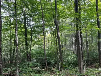Property at 8393 Kelly Hill Road, Pomfret, NY 14063