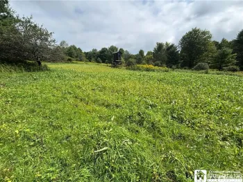 Property at VL#2 Swain Hill Road, Andover, NY 14806