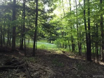 Property at 9 Cherrywood Ridge, Holland, NY 14080
