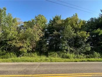 Property at V/L Genesee Road, North Collins, NY 14091