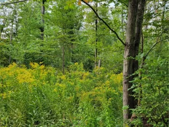Property at 0 Block, Yorkshire, NY 14042