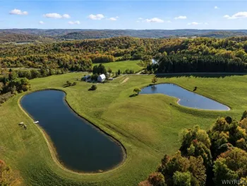 Property at 9905 Rock Springs Road, Ashford, NY 14171