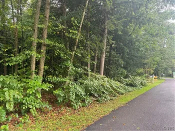Property at Shady Lane, Vienna, NY 13157