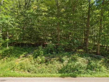Property at River Road, Lindley, NY 14858