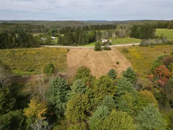 Property at 330 Tallow Hill Road, Spencer, NY 14883