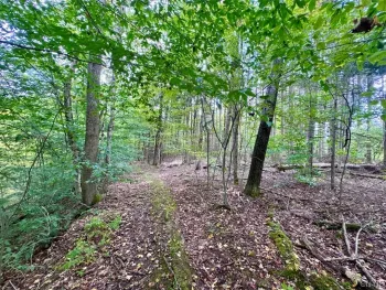 Property at East Road, Angelica, NY 14709
