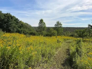 Property at Dye Road, Villenova, NY 14138
