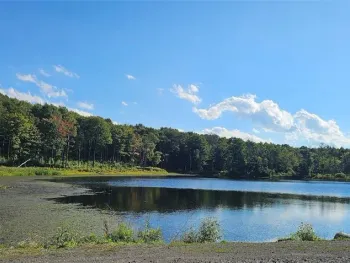 Property at Creamery Road, Richford, NY 13835