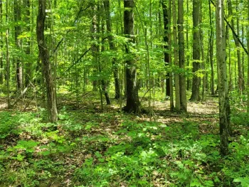 Property at Hagerman Road, Chemung, NY 14825